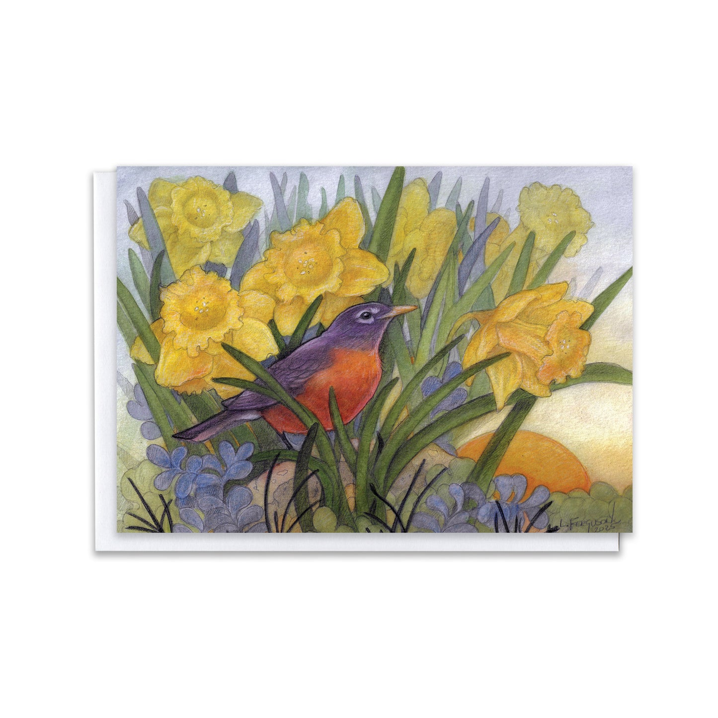 Early Bird — American Robin & Daffodils Blank Greeting Card