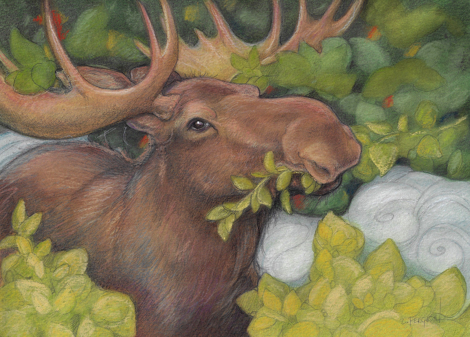 Moose 2_72.jpg