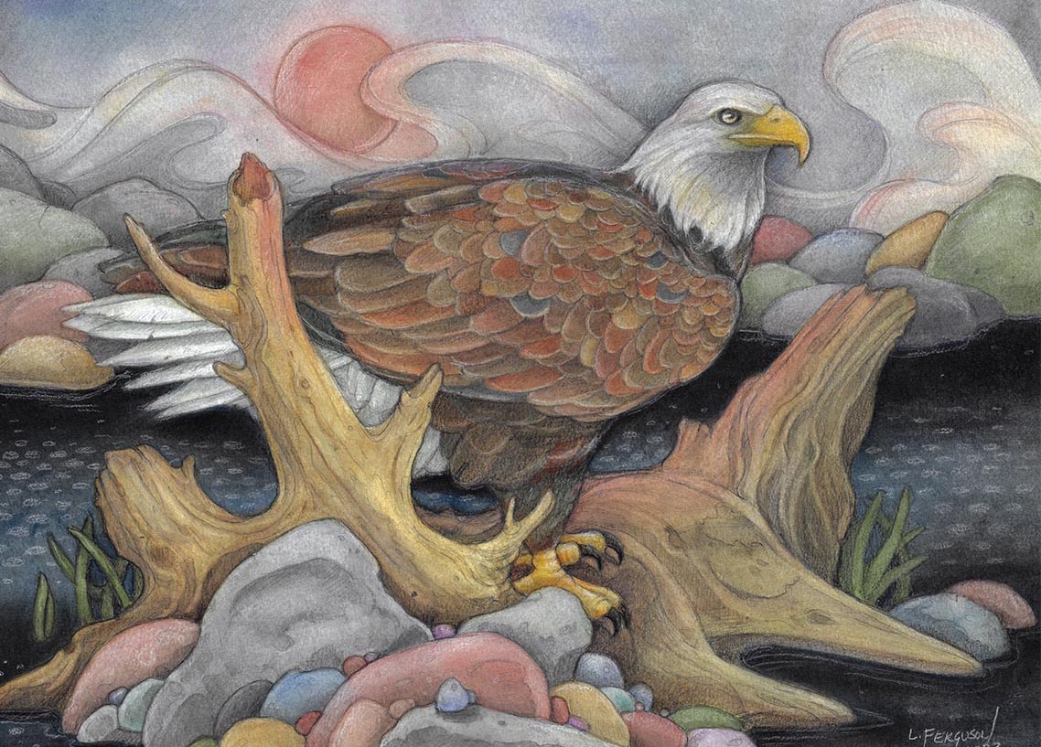 illustration of bald eagle sitting on driftwood and rocks in the water
