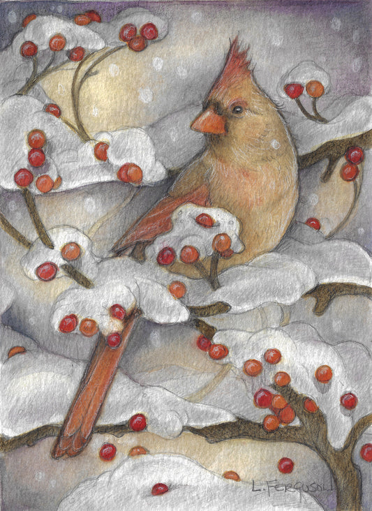 female Northern Cardinal sitting in tree with winter berries