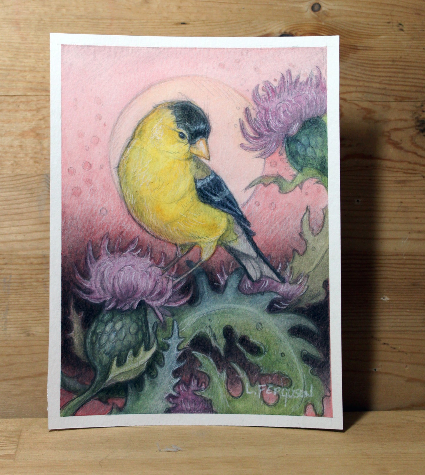 Tiny Art featuring yellow American Goldfinch sitting on a thistle