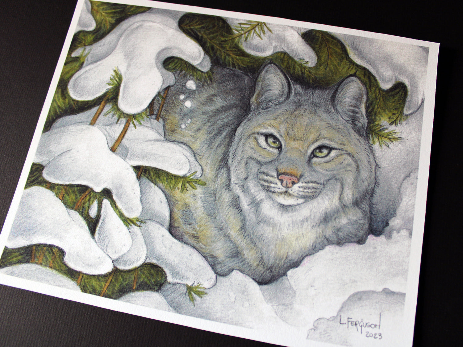 illustration of bobcat sitting under snow covered pine branches