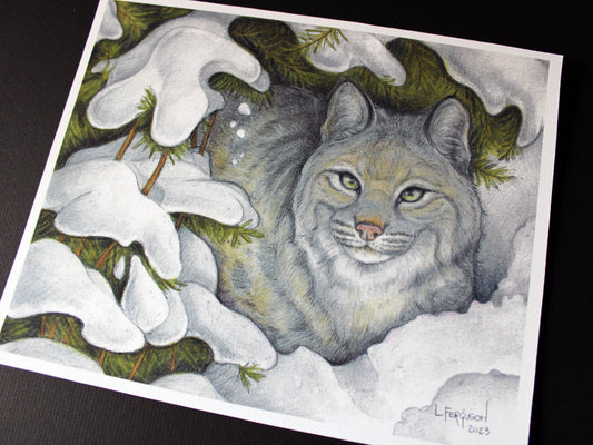 illustration of bobcat sitting under snow covered pine branches
