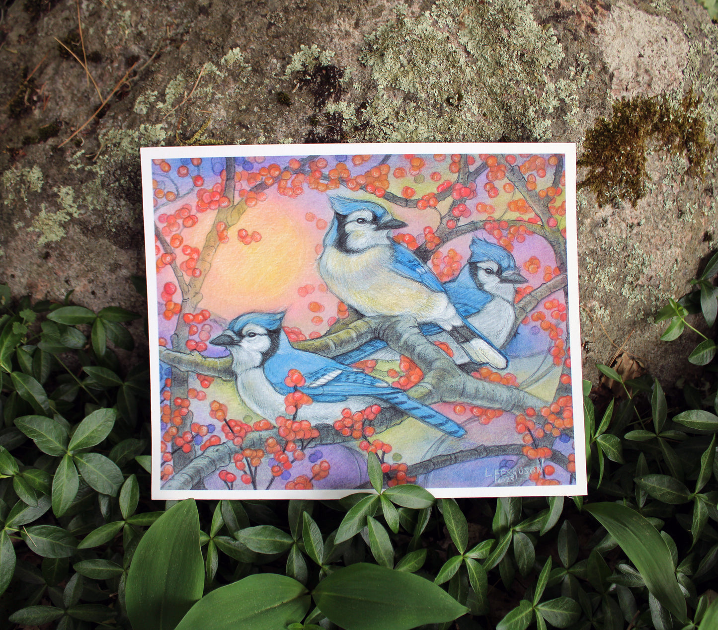 Sunshine and Berries- Print