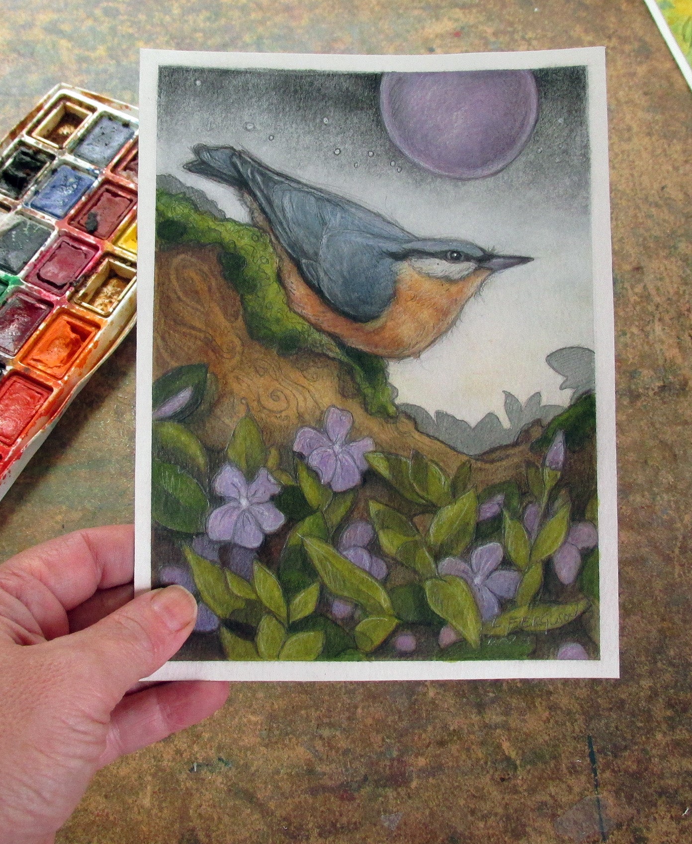 Rose Breasted Nuthatch-Original Mixed media Art