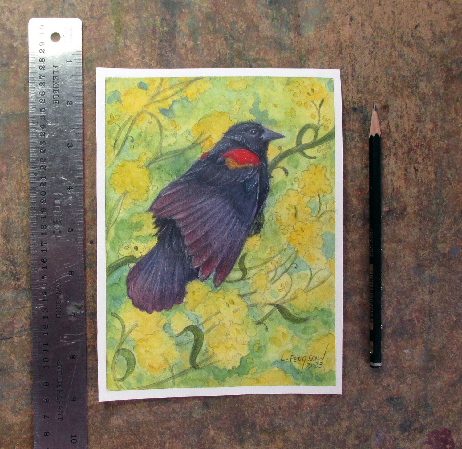 illustration of a red winged blackbird sitting in a field of yellow flowers