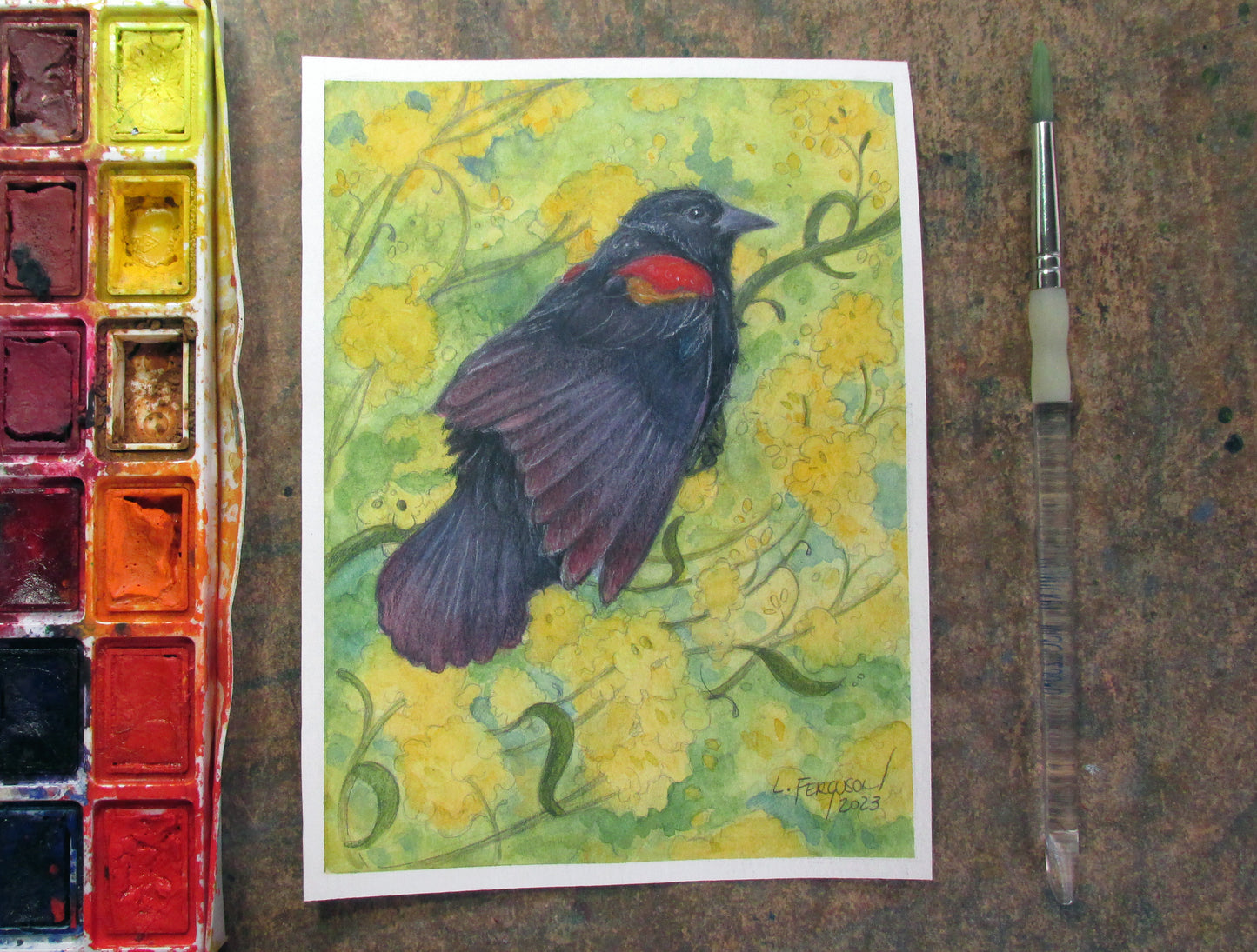 illustration of a red winged blackbird sitting in a field of yellow flowers