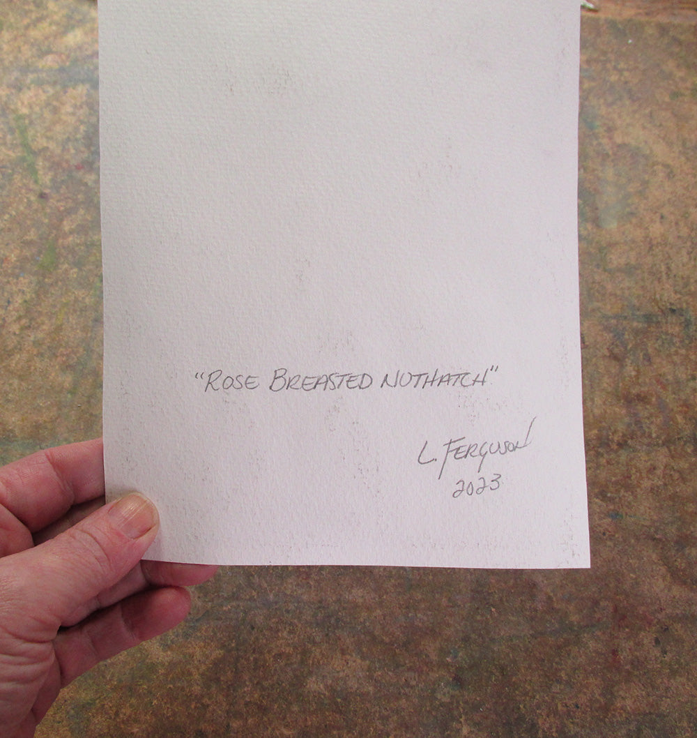 Rose Breasted Nuthatch-Original Mixed media Art