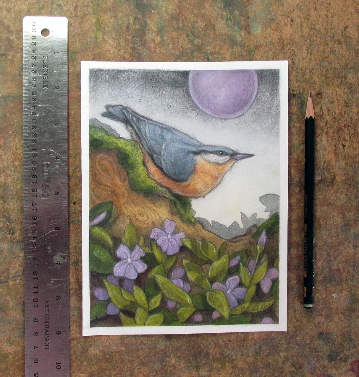 Rose Breasted Nuthatch-Original Mixed media Art