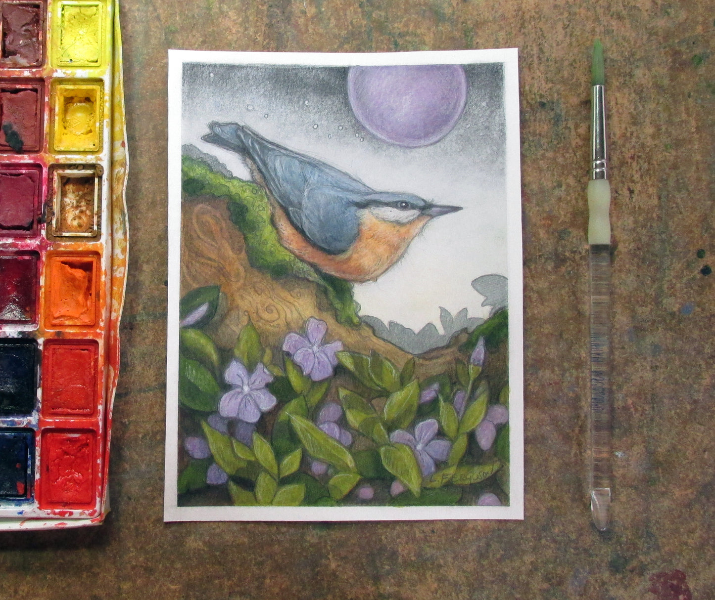 Rose Breasted Nuthatch-Original Mixed media Art