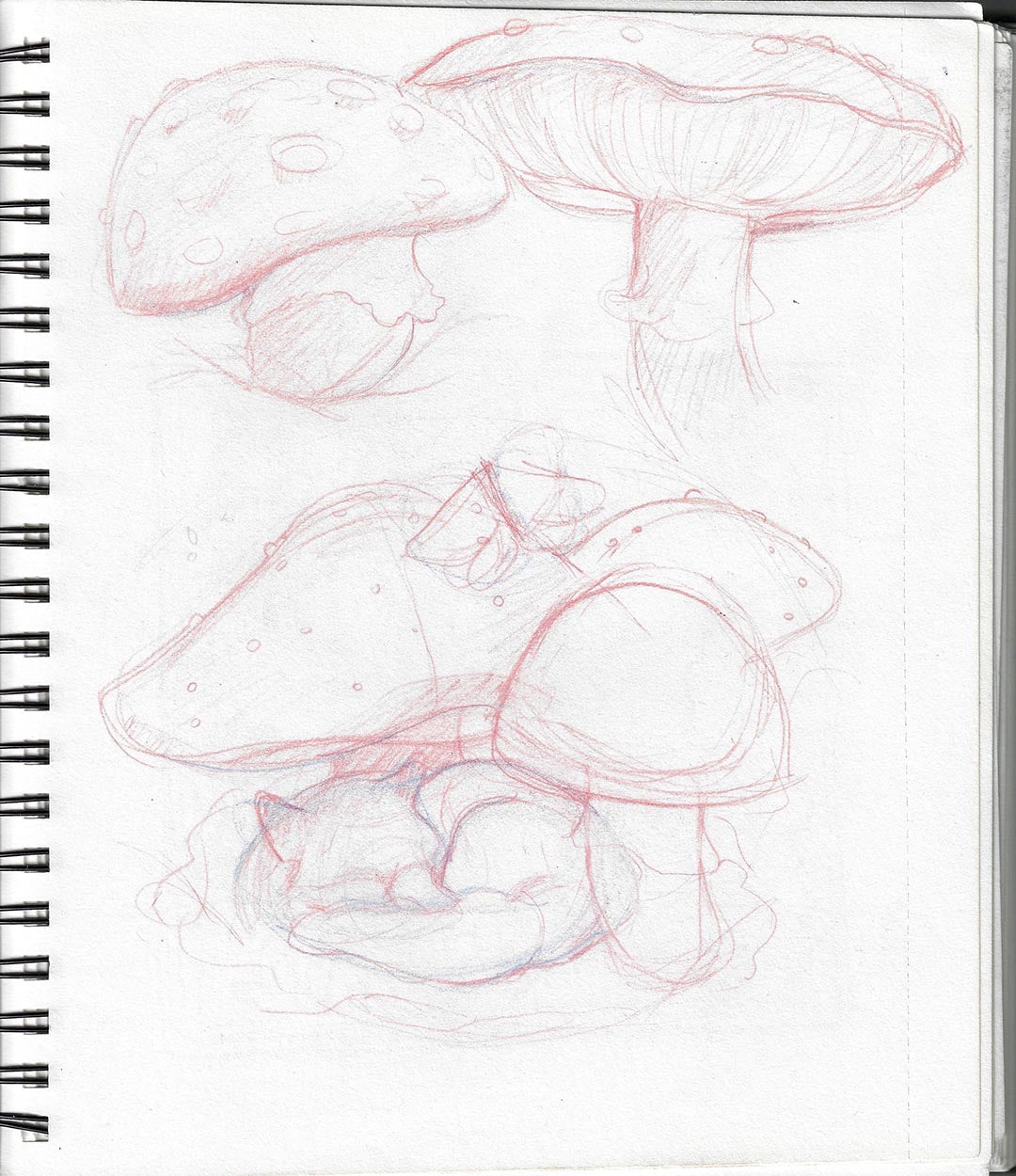 The Mushroom Garden-Original Mixed media Tiny Art