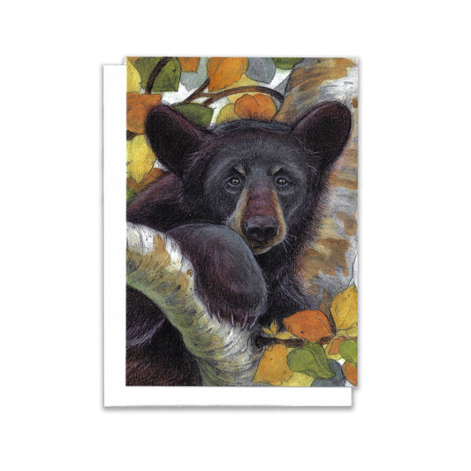 Illustrated Greeting Card of Black bear perched in a birch tree