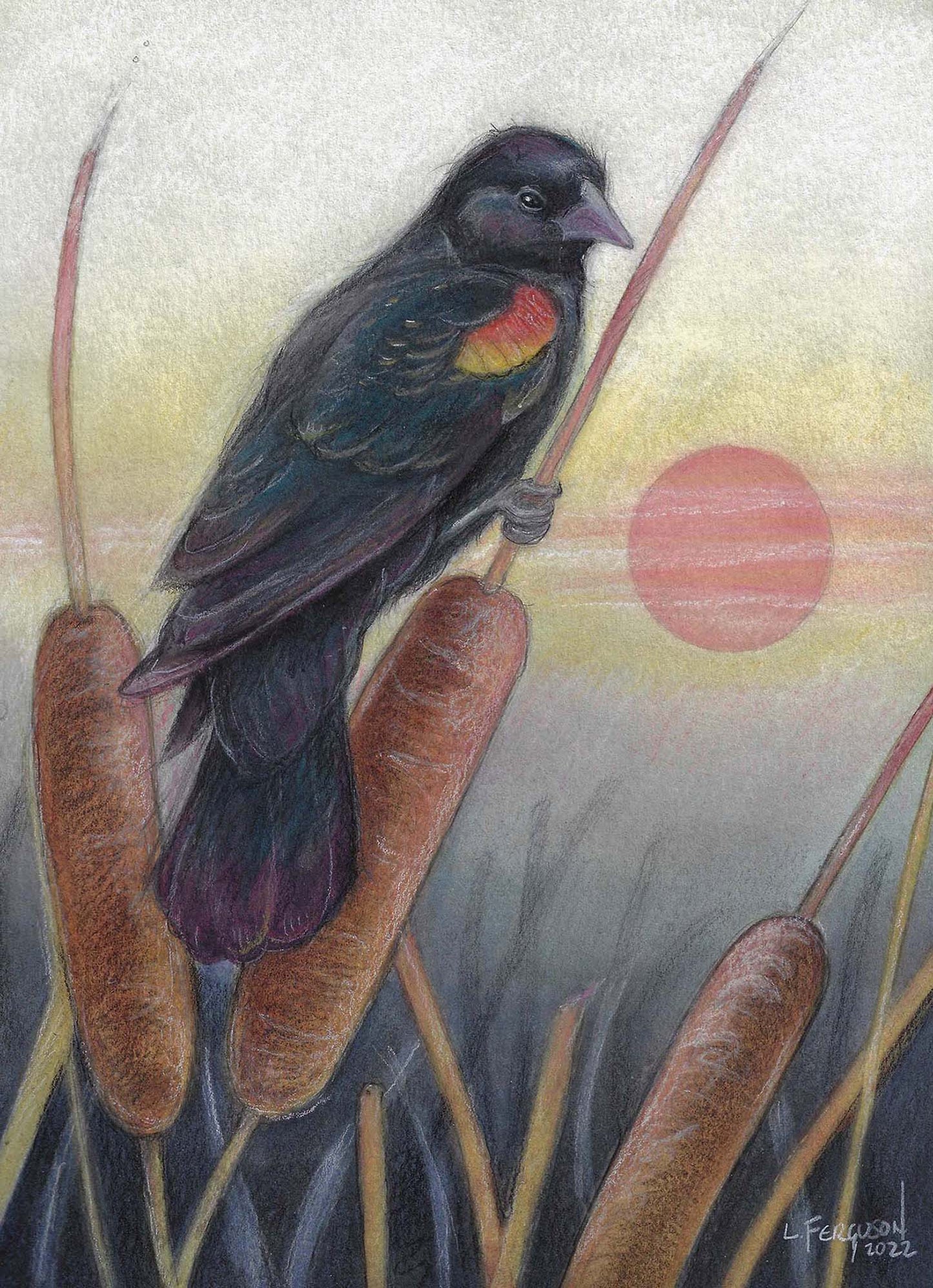 Misty Morning Sun-Greeting Card