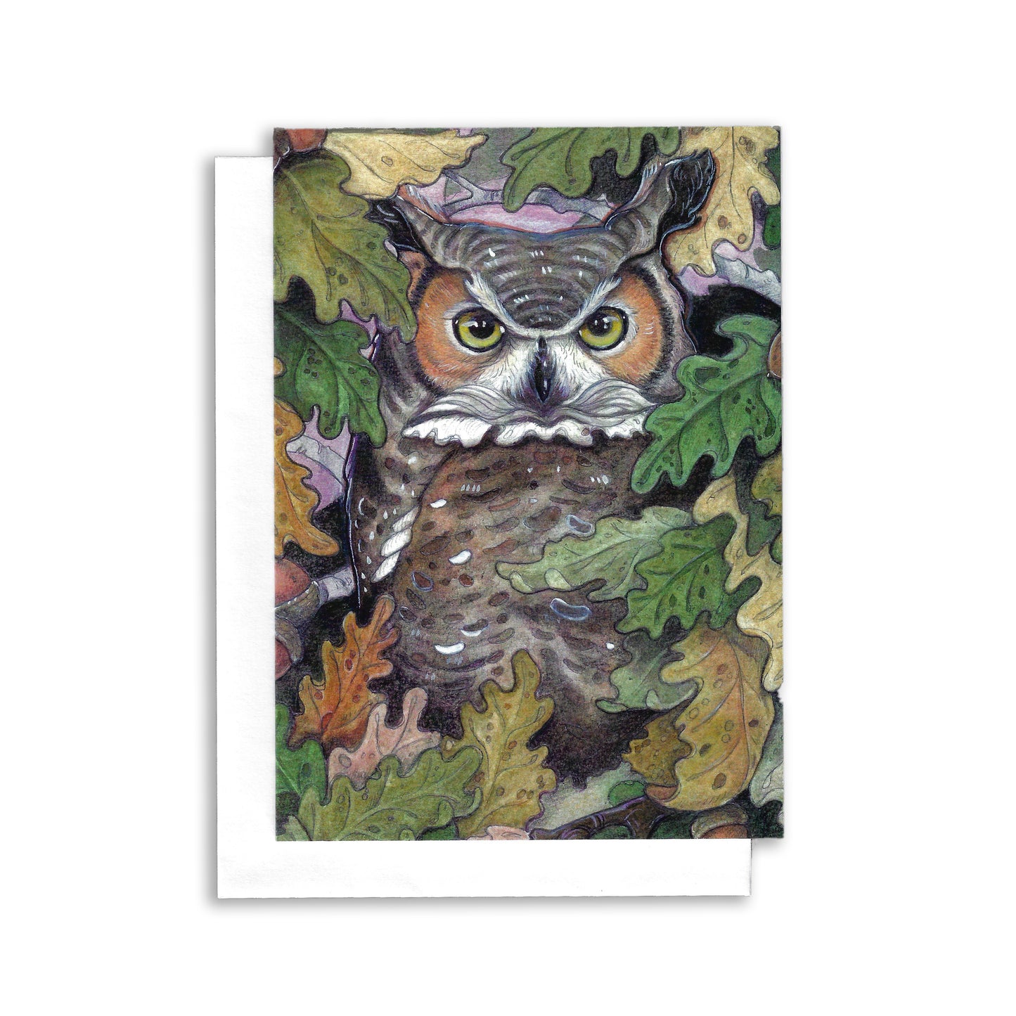 Owl In Oak tree - Greeting Card