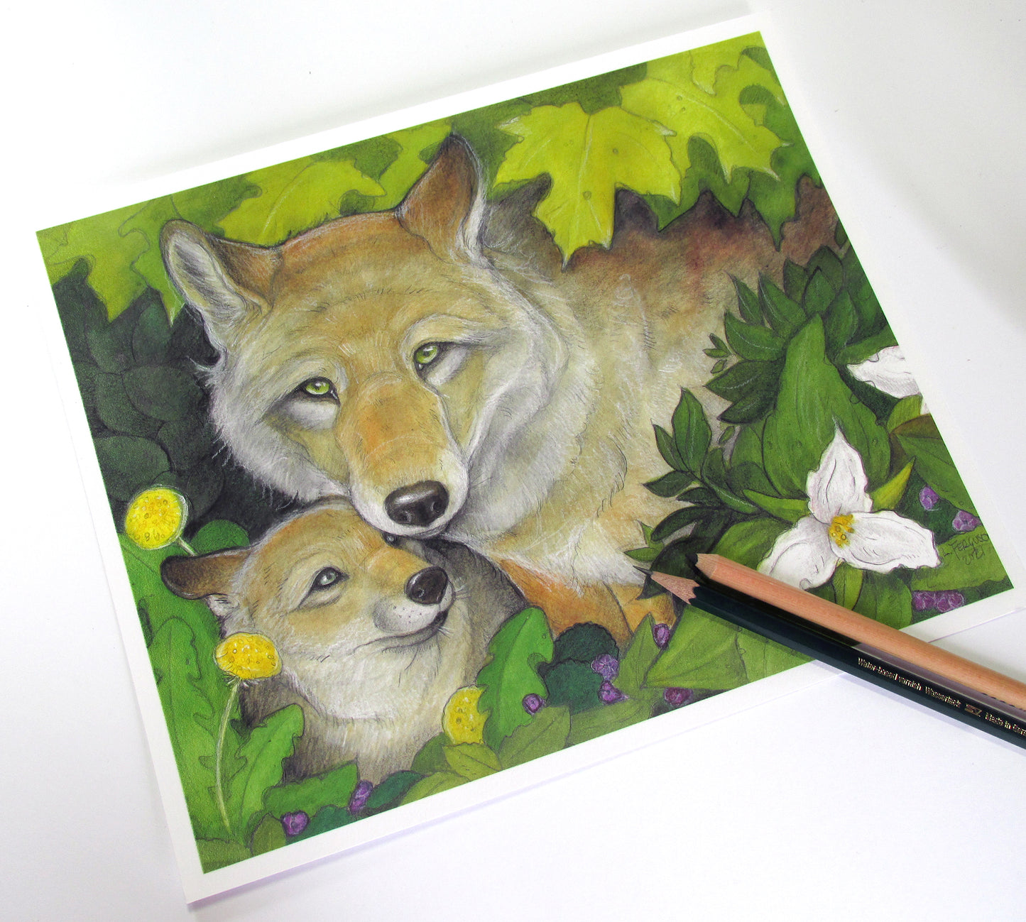 Algonquin Wolf Mother - Print