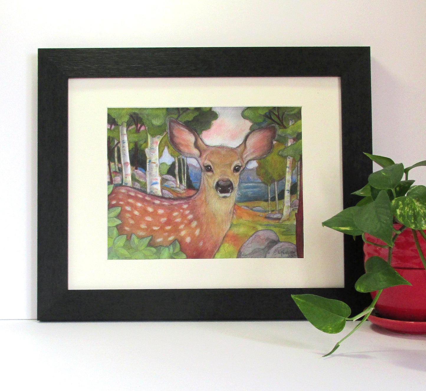 Fawn In The Birches -Print