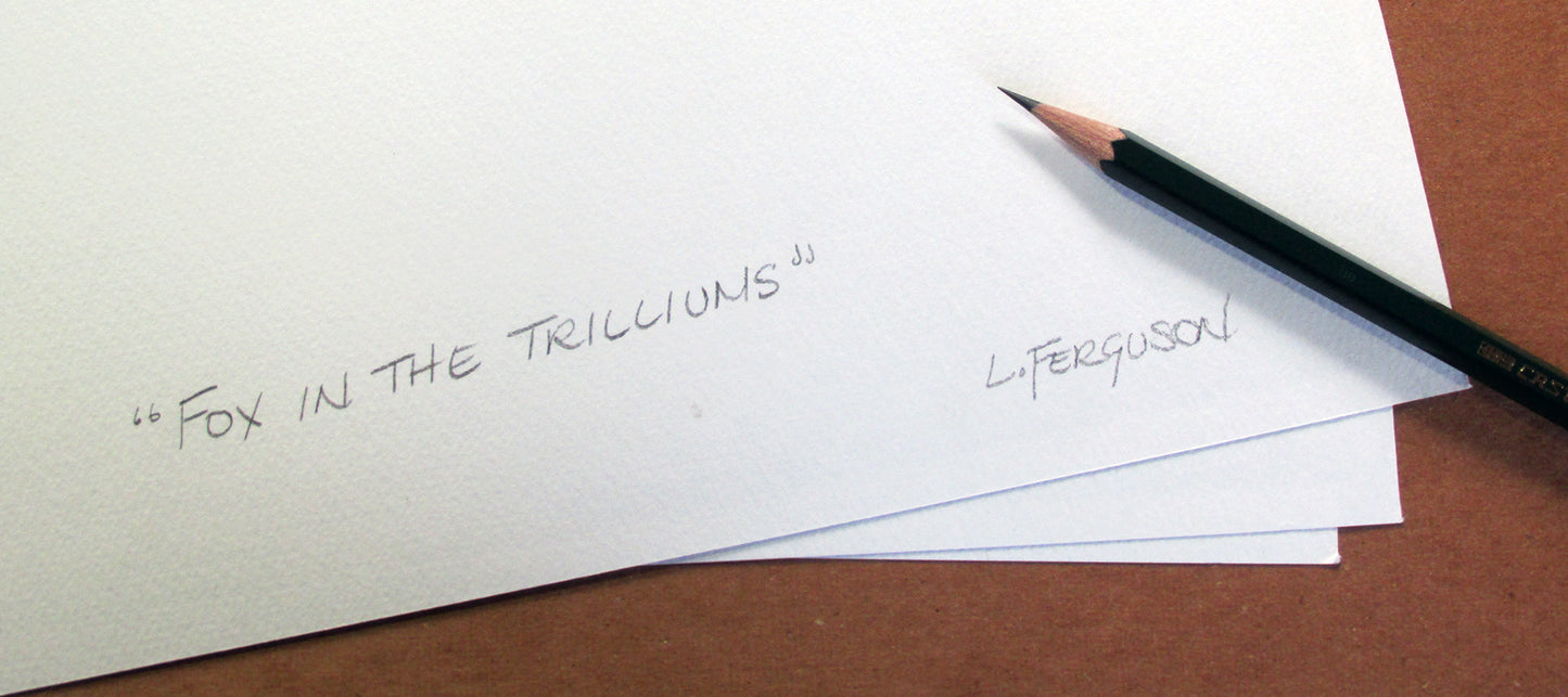 Fox in The Trilliums - Print