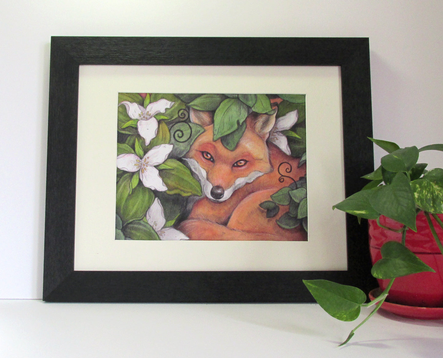 Fox in The Trilliums - Print