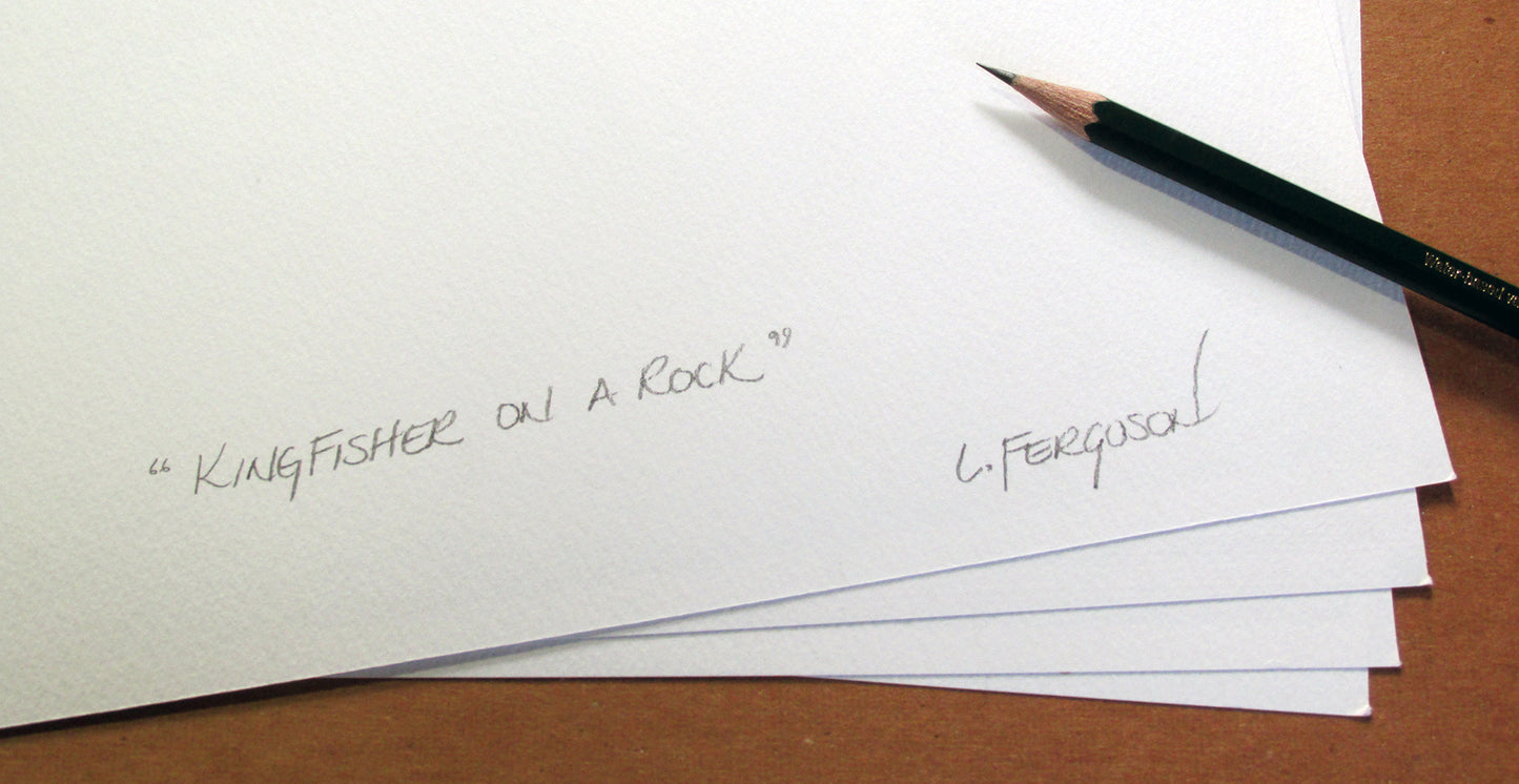 Kingfisher on Rock - Print