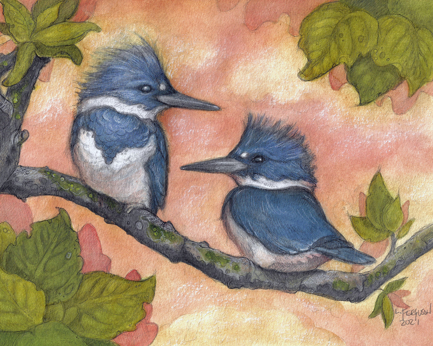 Kingfishers In Twilight - Print