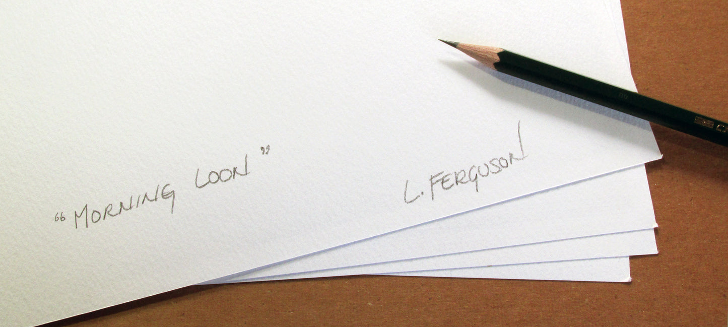 Morning Loon - Print