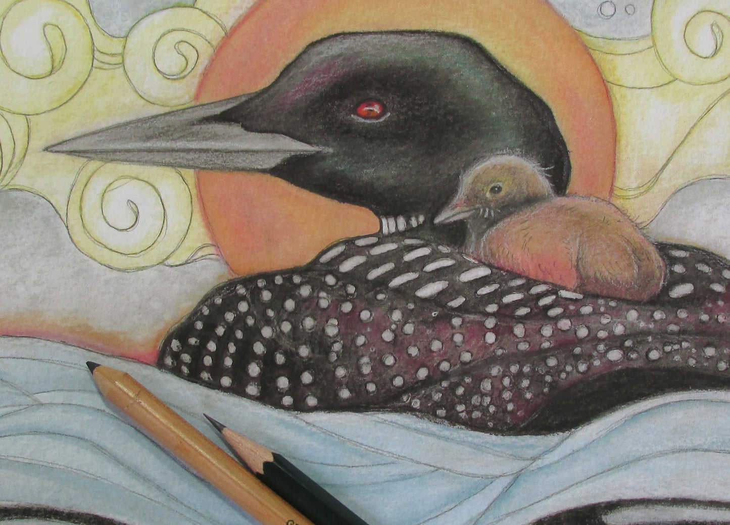 Morning Loon - Print