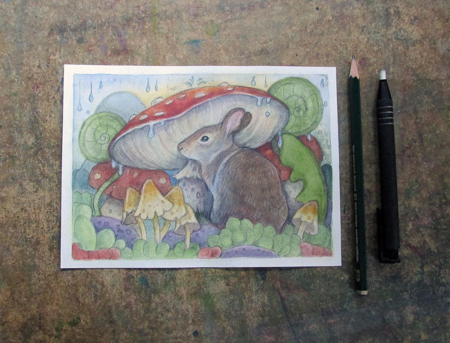 Mushrooms and Raindrops