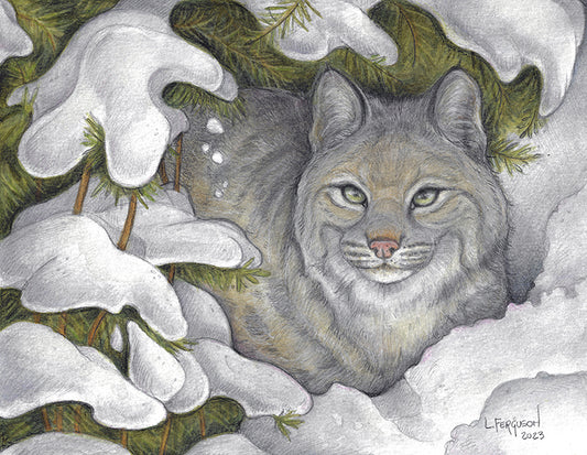 Illustration art of bobcat sitting under snow covered pine branches