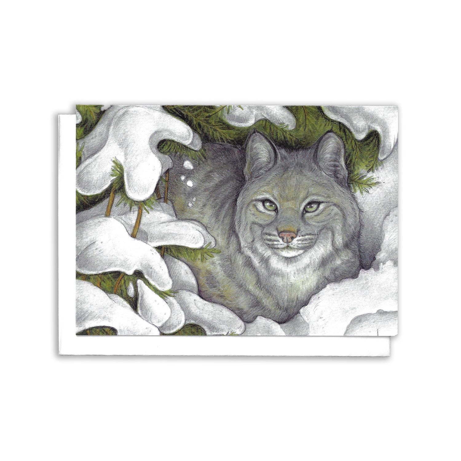Illustrated Greeting Card of bobcat sitting under snow-covered pine branches