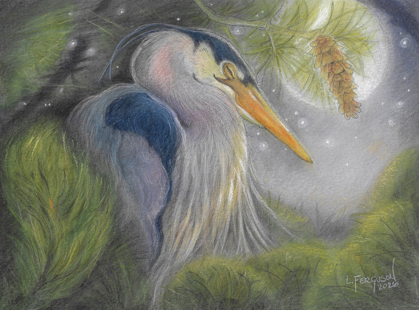 Heron 72.jpg