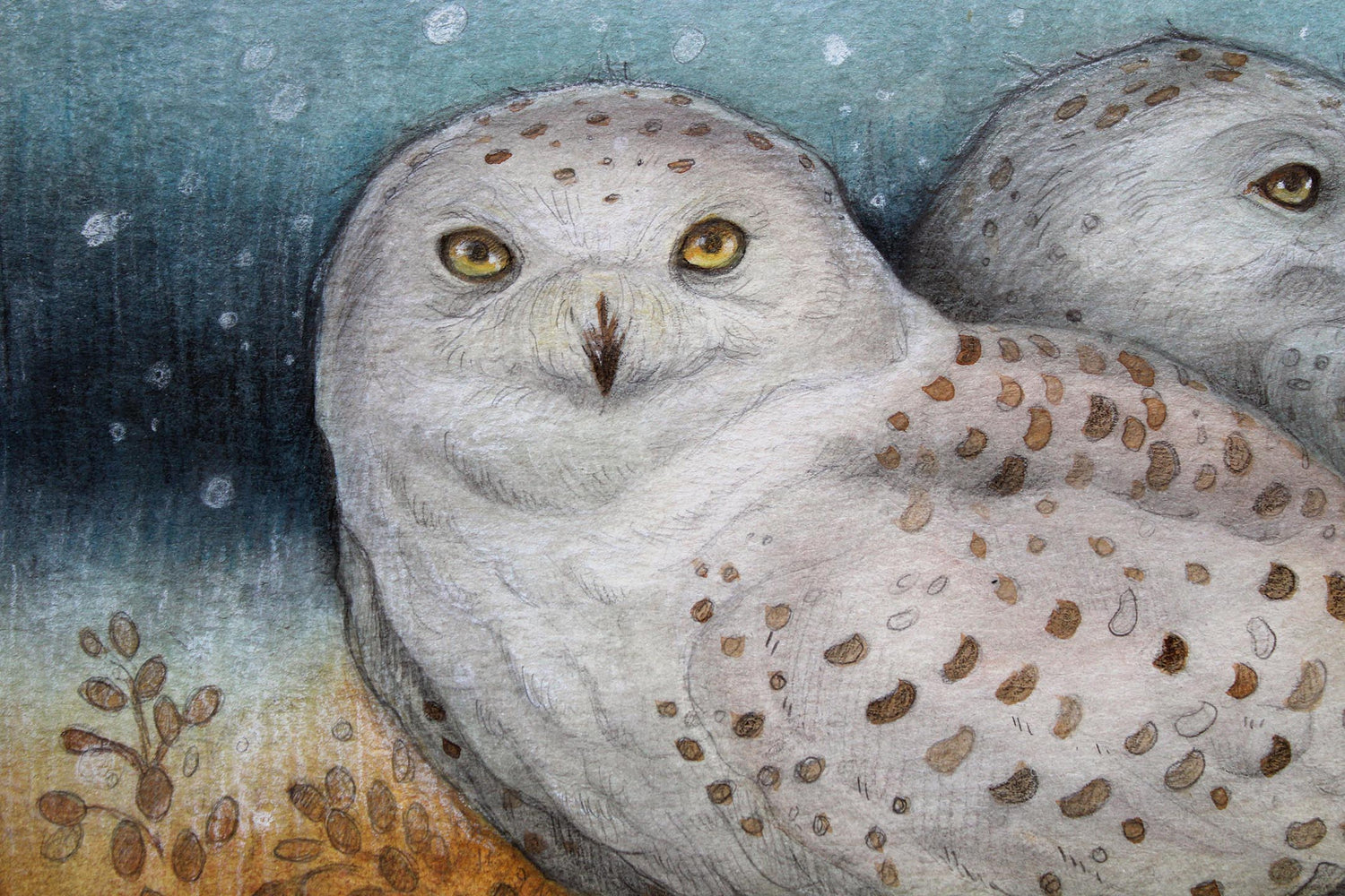 Close Up, Detail of mixed media artwork titled 'Stillness of Winter' featuring two snowy owls resting in a serene winter landscape. Created with watercolour paint, graphite pencil, charcoal, and conte on heavy cold-pressed watercolour paper, measuring 9x12 inches.