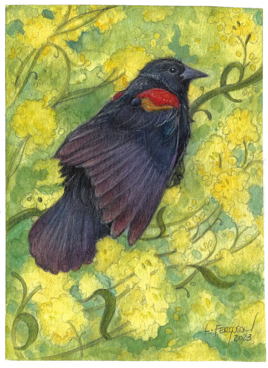 illustration of a red winged blackbird sitting in a field of yellow flowers