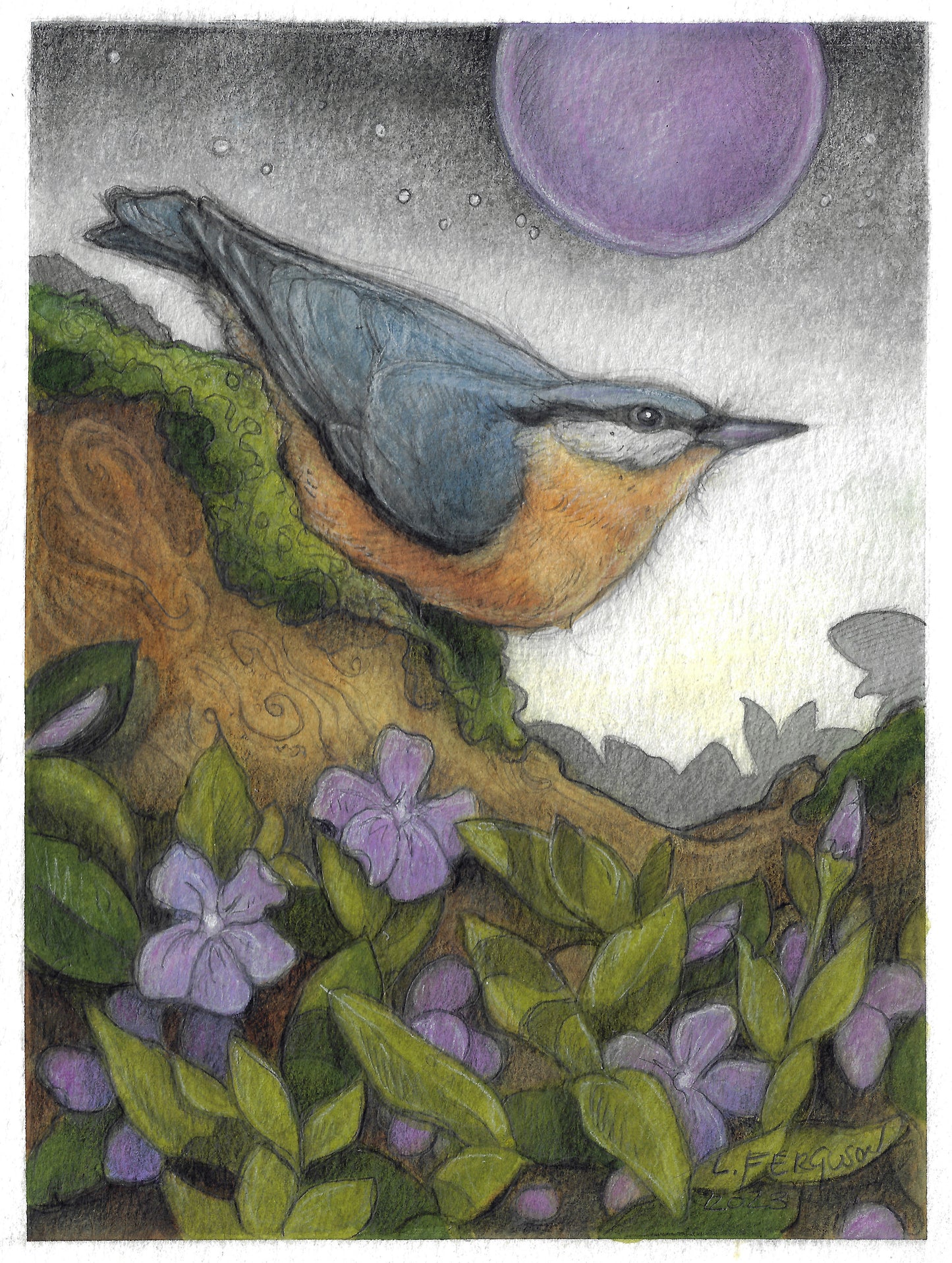 Rose Breasted Nuthatch-Original Mixed media Art