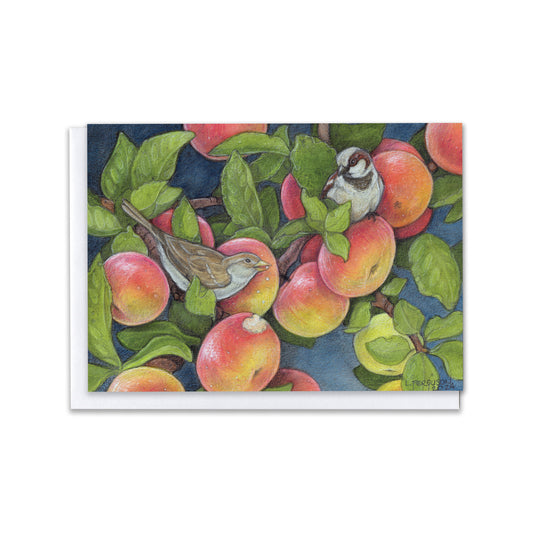 Simple Pleasures — Songbirds & Sunlit Apples Blank Greeting Card