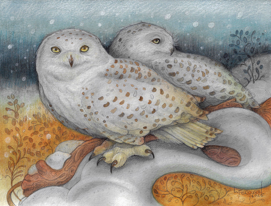 "Mixed media artwork titled 'Stillness of Winter' featuring two snowy owls resting in a serene winter landscape. Created with watercolour paint, graphite pencil, charcoal, and conte on heavy cold-pressed watercolour paper, measuring 9x12 inches.