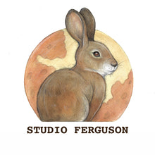 Studio Ferguson