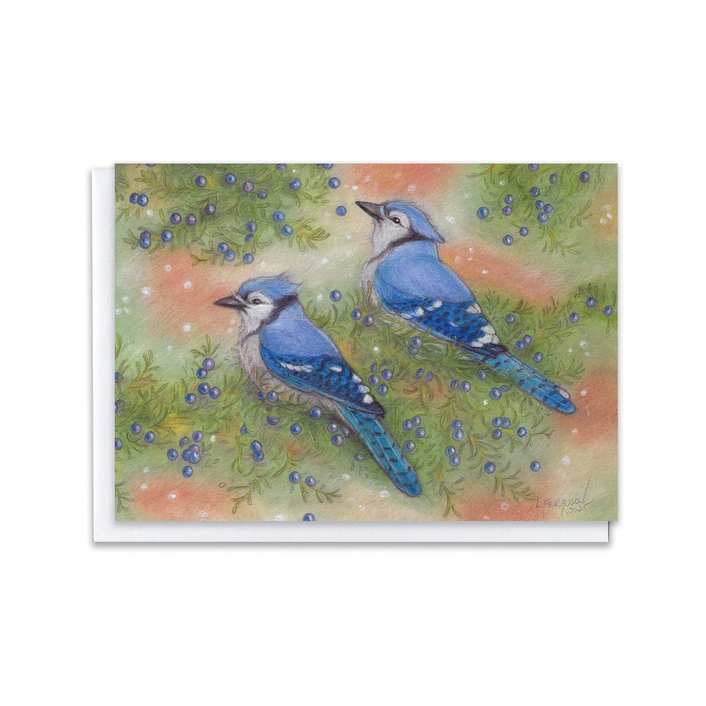 The Gentle Snow — Blue Jays in Winter Juniper Blank Greeting Card