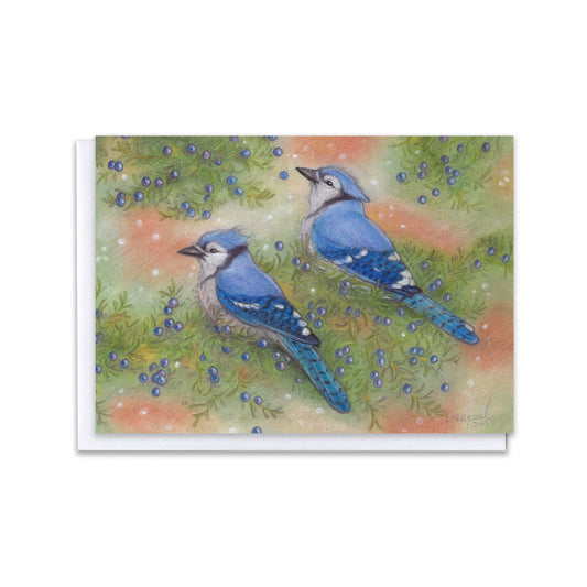 The Gentle Snow — Blue Jays in Winter Juniper Blank Greeting Card