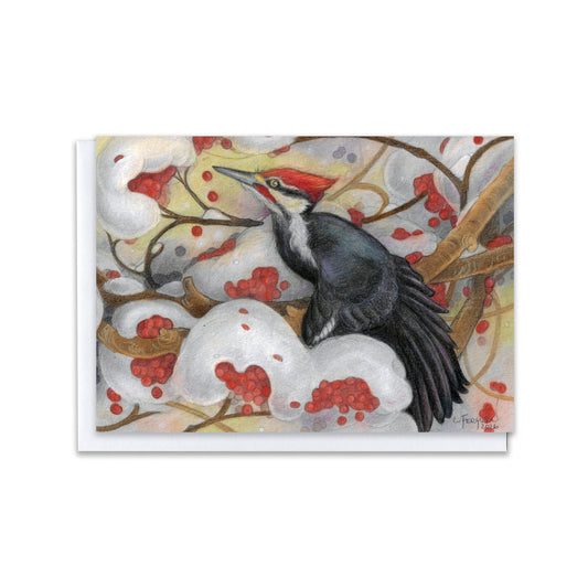 Winter Feast — Pileated Woodpecker Blank Greeting Card