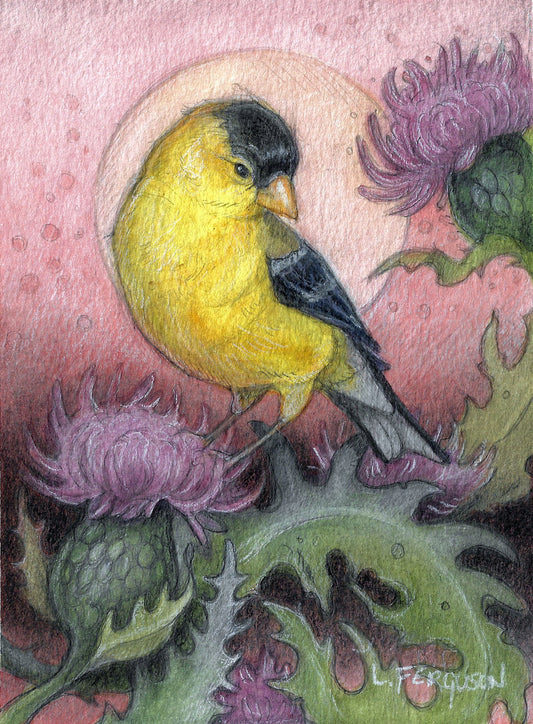 Tiny Art featuring yellow American Goldfinch sitting on a thistle