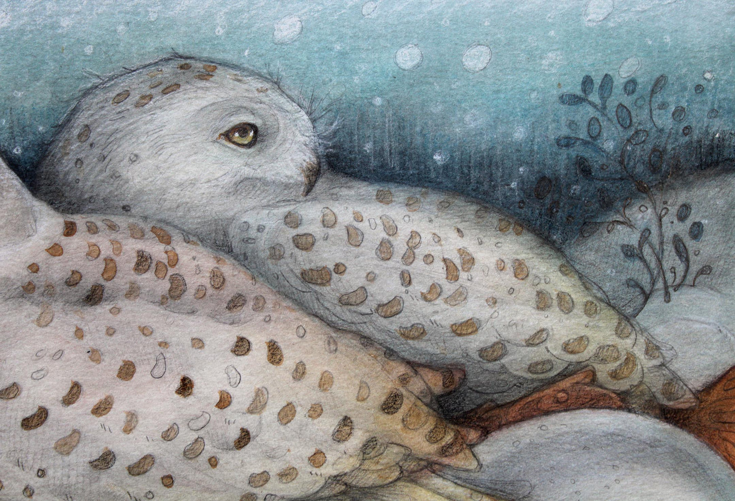 Close Up, Detail of mixed media artwork titled 'Stillness of Winter' featuring two snowy owls resting in a serene winter landscape. Created with watercolour paint, graphite pencil, charcoal, and conte on heavy cold-pressed watercolour paper, measuring 9x12 inches.