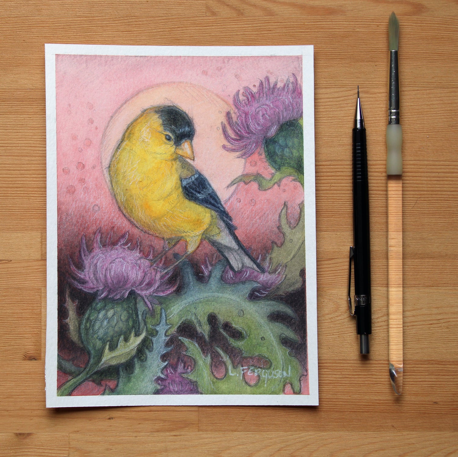Tiny Art featuring yellow American Goldfinch sitting on a thistle