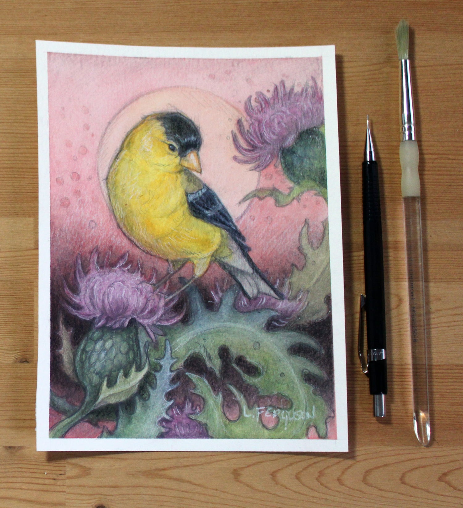 Tiny Art featuring yellow American Goldfinch sitting on a thistle