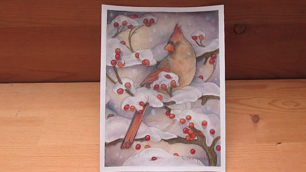 video of Tiny art featuring female Northern Cardinal sitting in tree with winter berries