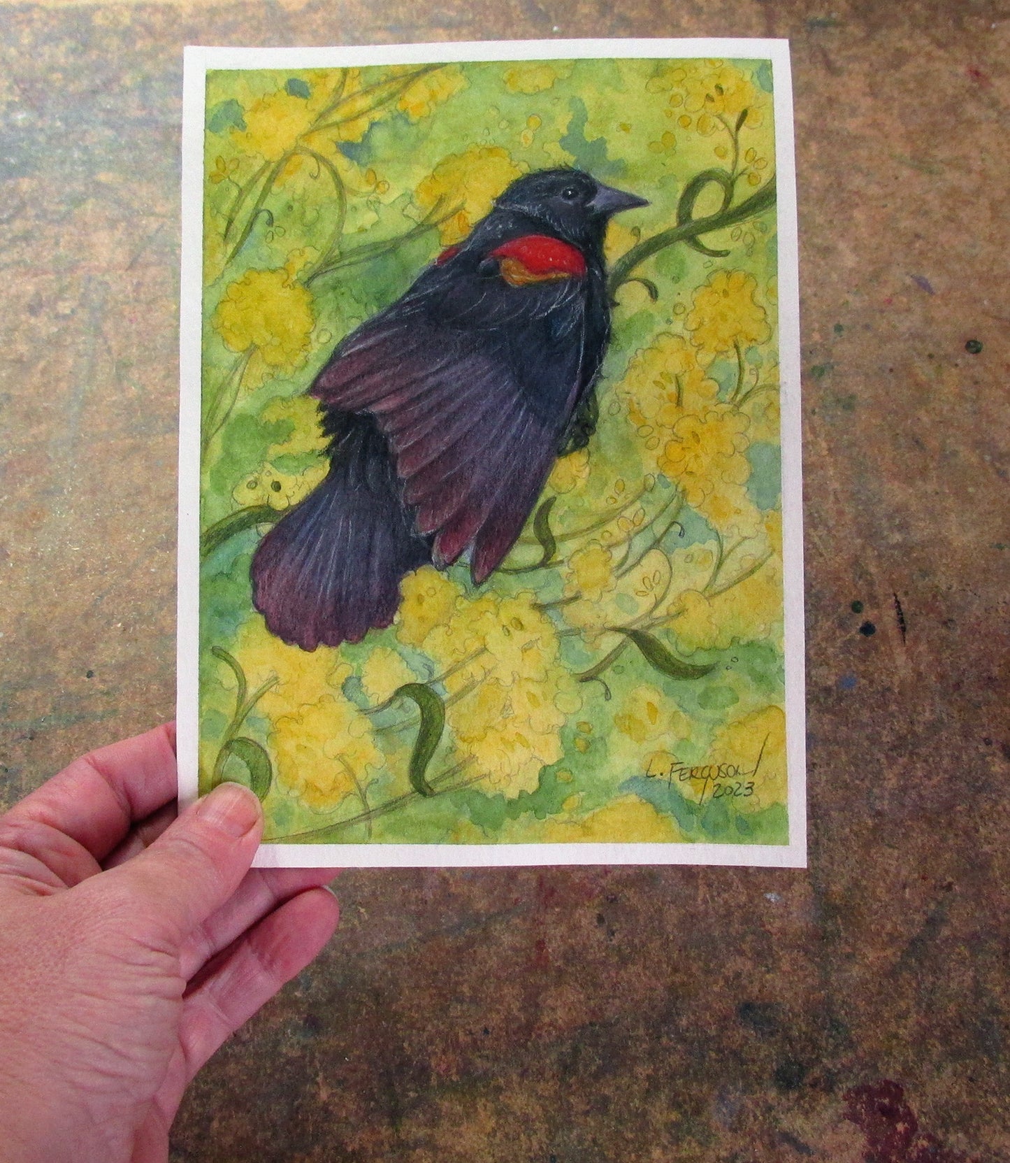 illustration of a red winged blackbird sitting in a field of yellow flowers
