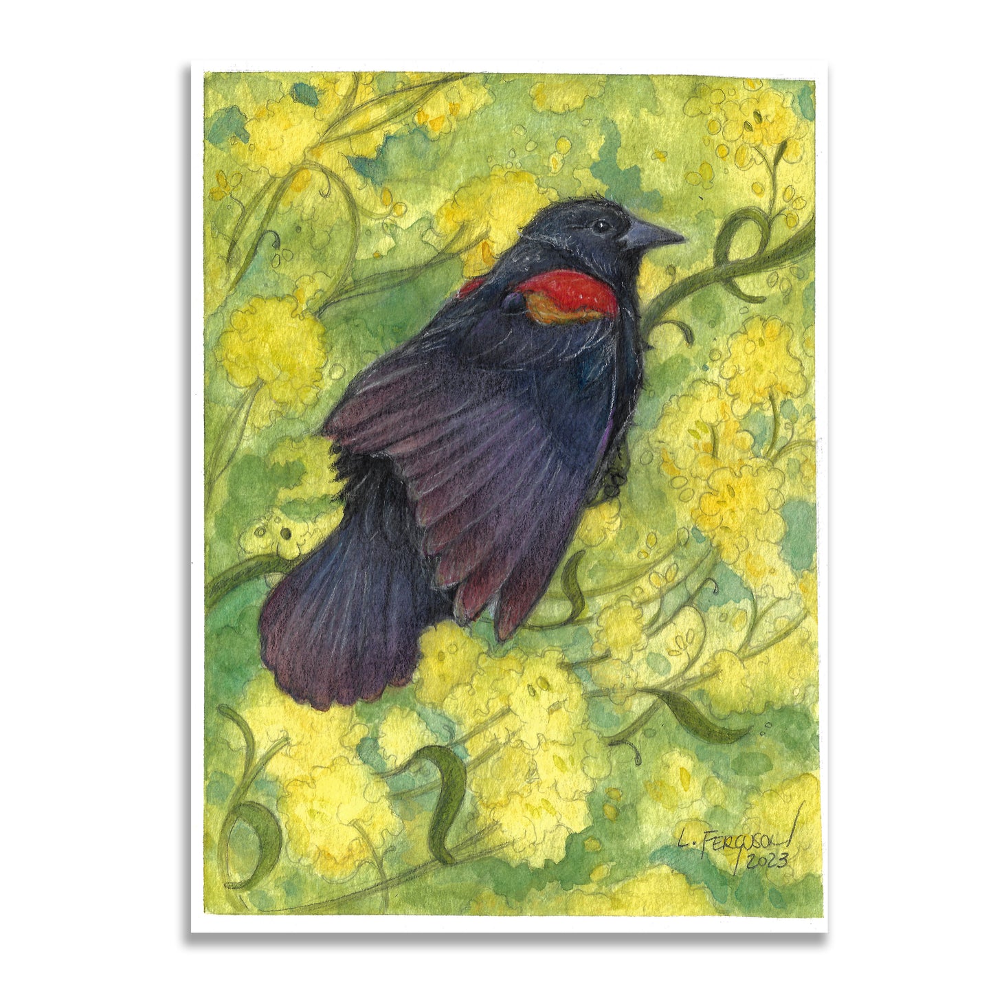 Red Winged Blackbird-Original Mixed Media Painting