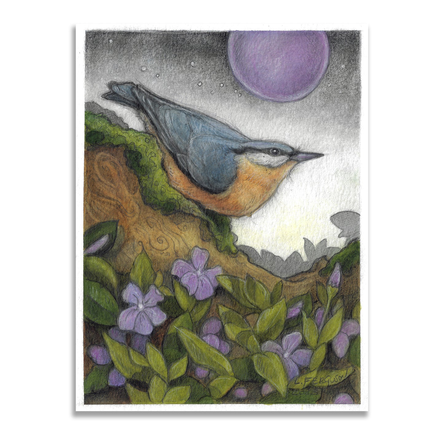 Rose Breasted Nuthatch-Original Mixed media Art