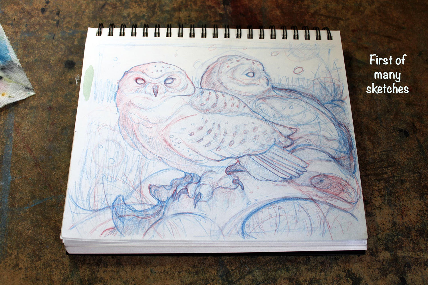 First of many sketches of mixed media artwork titled 'Stillness of Winter' featuring two snowy owls resting in a serene winter landscape. 