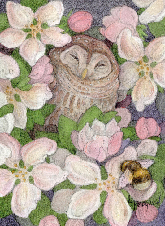 Sweet Lullaby — Original 5x7 Owl & Apple Blossom Mixed Media Painting