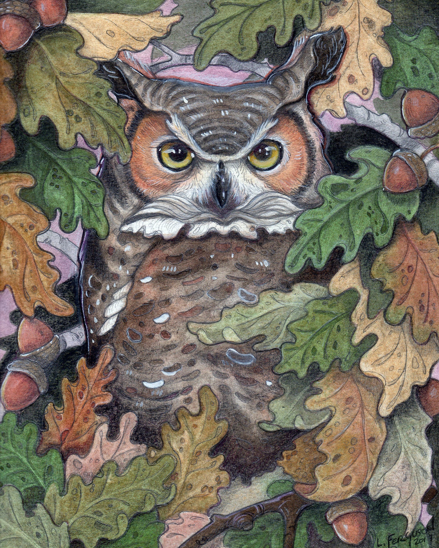 Owl In Oak Tree - Print